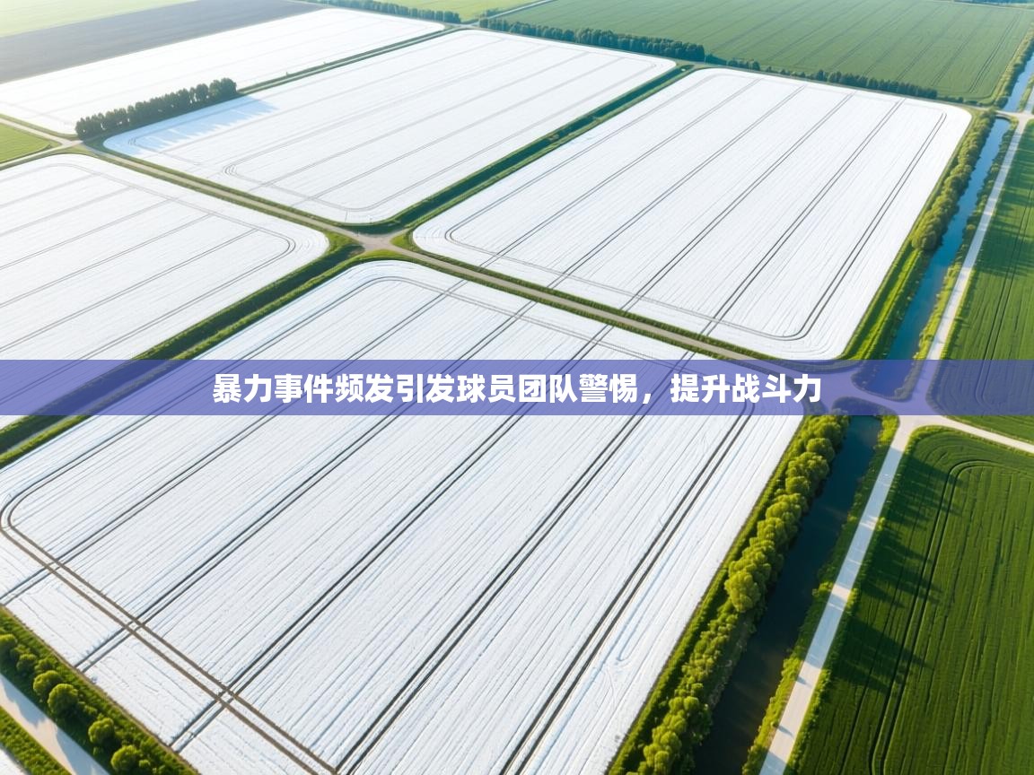 暴力事件频发引发球员团队警惕，提升战斗力